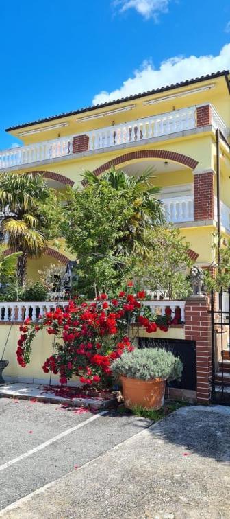 نوفي فينودولسكي Bed & Breakfast Barbara المظهر الخارجي الصورة